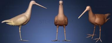3D model Black tailed Godwit (STL)